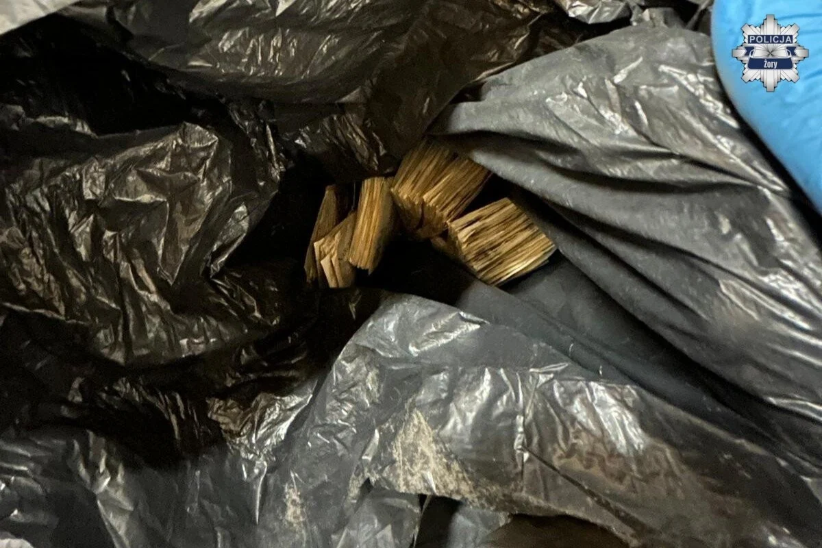 8fccff45099b4405dab52f0302deec09-4086123366