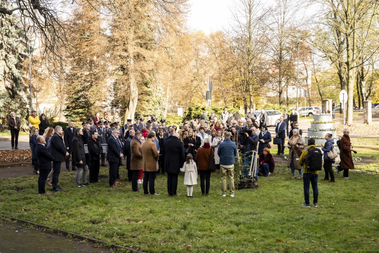 40 lat od przełomowego przeszczepu serca 20