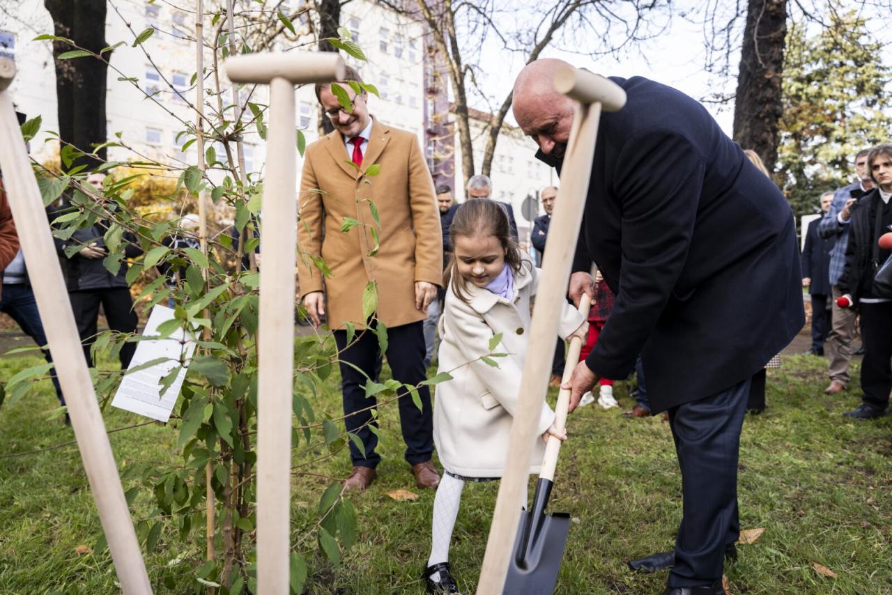 40 lat od przełomowego przeszczepu serca 22