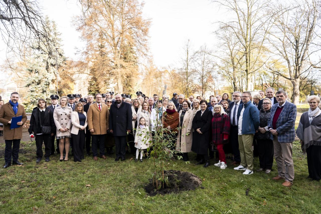 40 lat od przełomowego przeszczepu serca 23