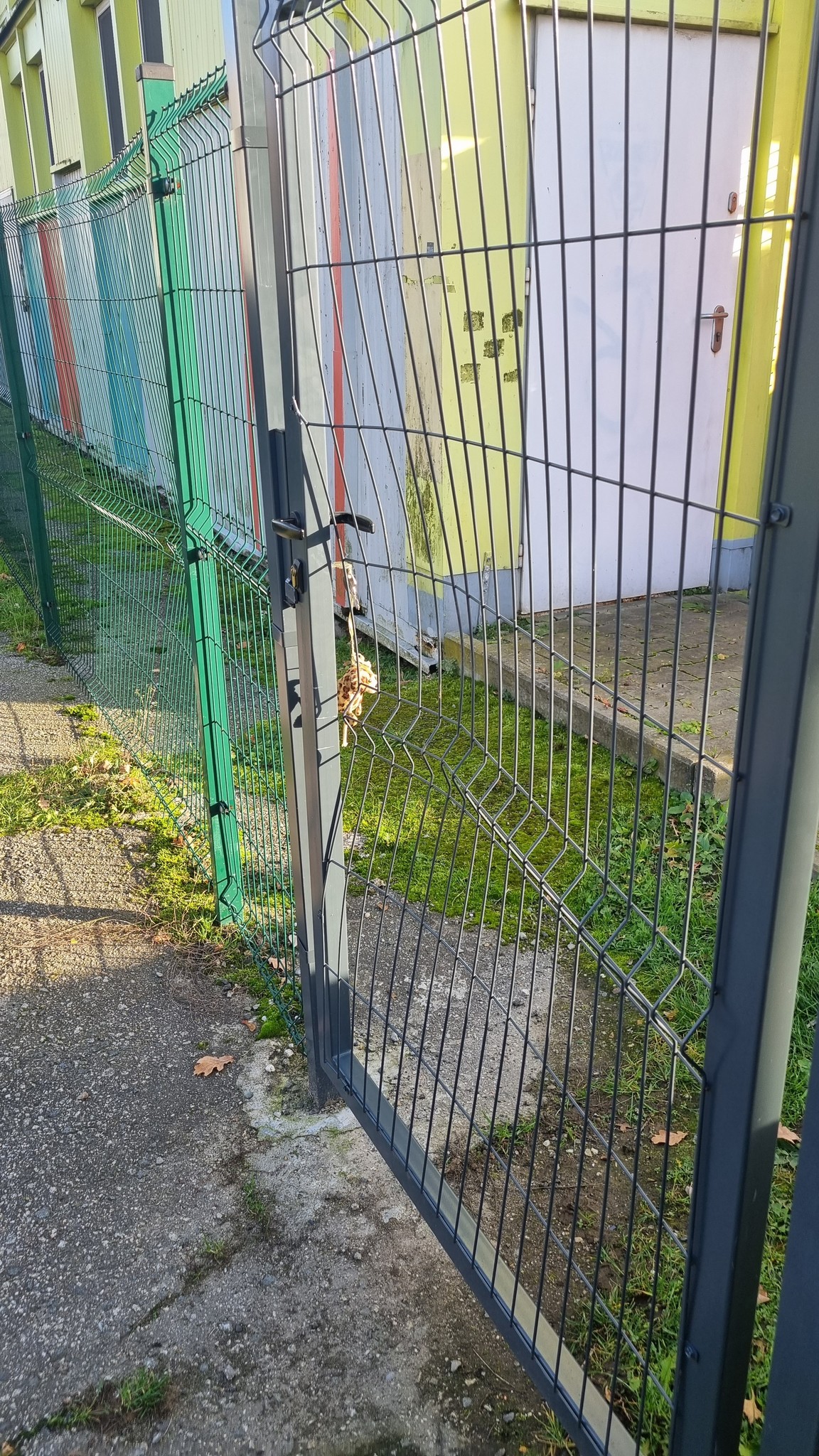 Ktoś zniszczył ogrodzenie prywatnego przedszkola. Znowu