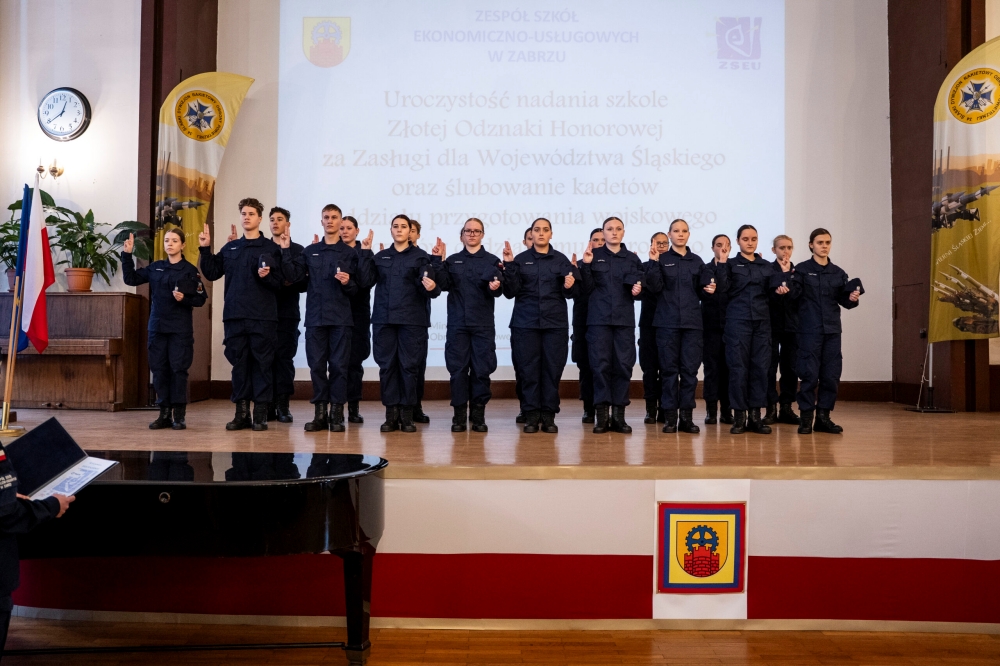 Wyjątkowy sukces Zabrza. ZSE-U nagrodzony za zasługi dla Śląska 14
