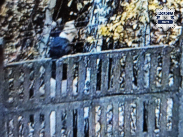 Policja w Zabrzu publikuje wizerunki sprawców włamania do hali produkcyjnej