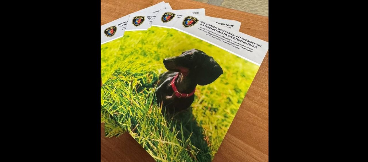 Rusza akcja Straży Miejskiej! Kontrole właścicieli psów w mieście