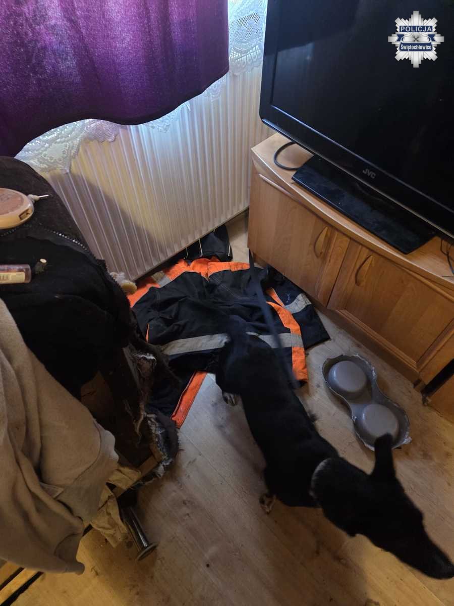 Przywiązał psa do kaloryfera i opuścił wynajmowany lokal. 22-latek odpowie za znęcanie się