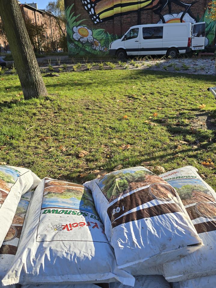 Nowa roślinność 6