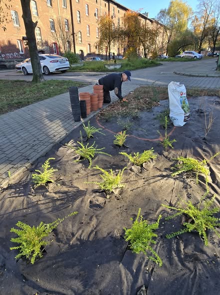 Nowa roślinność 8