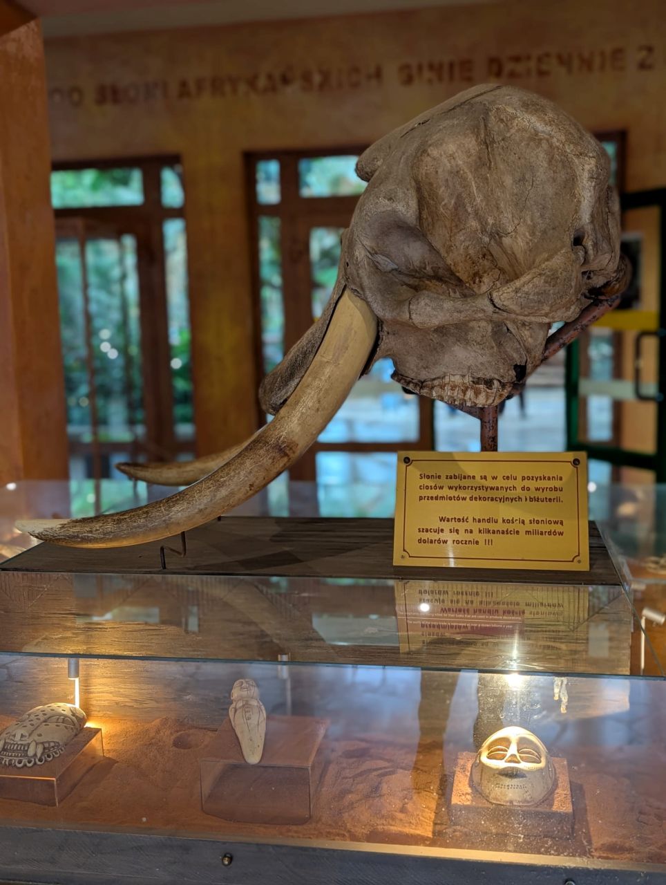 Opiekunowie słoni z Chorzowa na pierwszym ogólnopolskim zjeździe w Warszawie