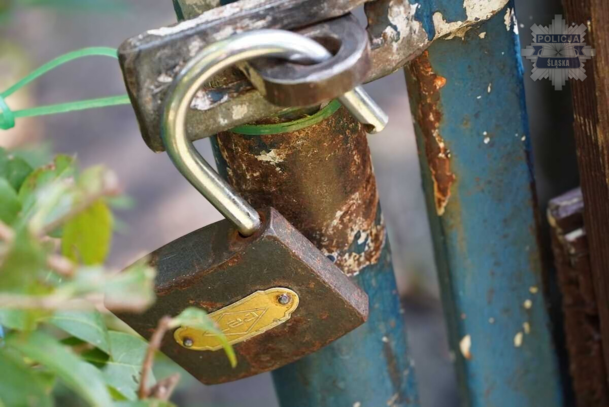 Uważaj na złodziei na ogródkach działkowych – policja apeluje o ostrożność jesienią