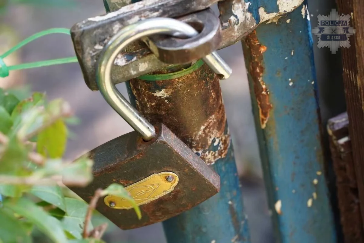 Uważaj na złodziei na ogródkach działkowych – policja apeluje o ostrożność jesienią