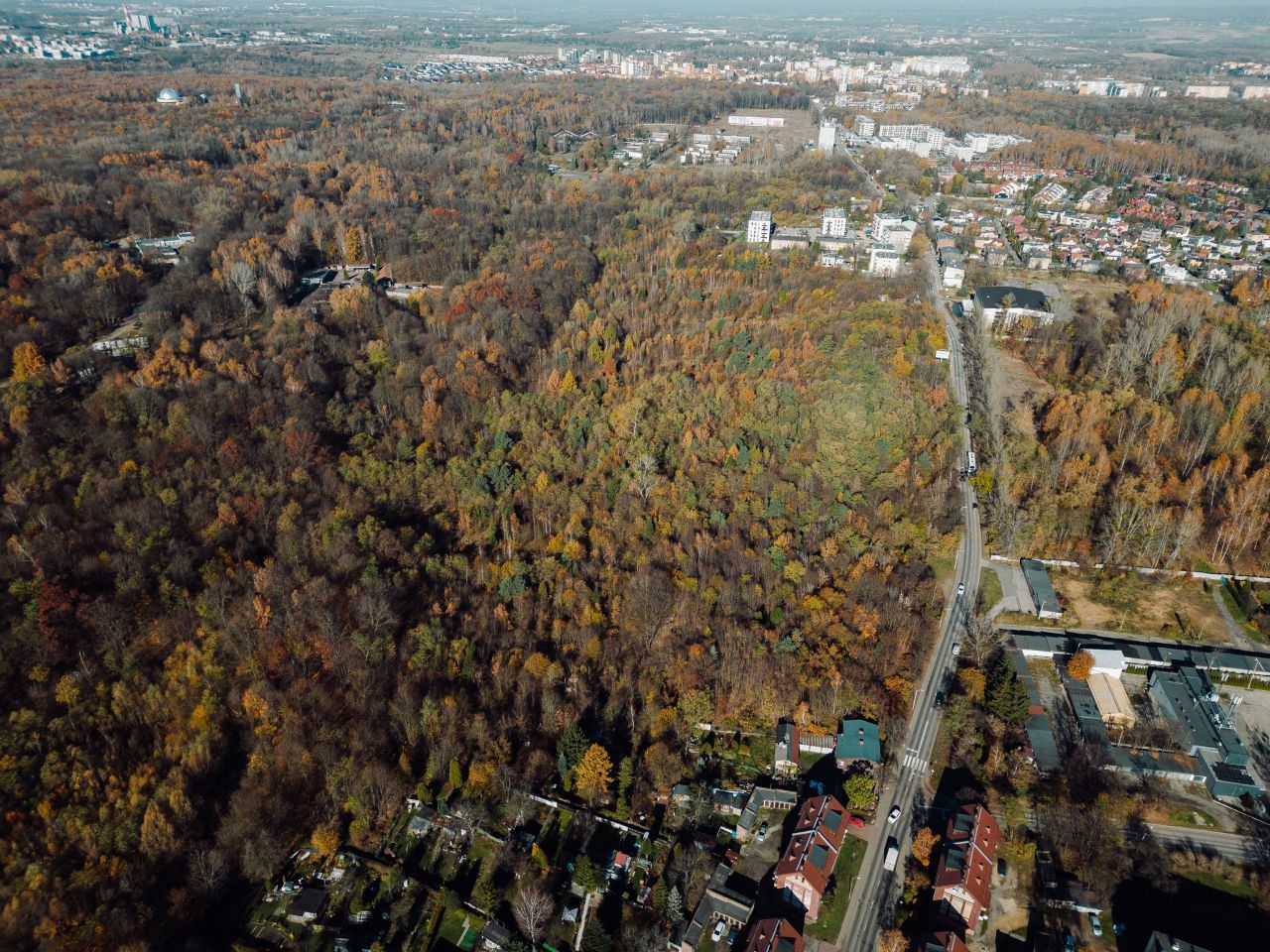 W Parku Śląskim powstanie Arboretum – nowa przestrzeń przyrodnicza już w 2027 roku