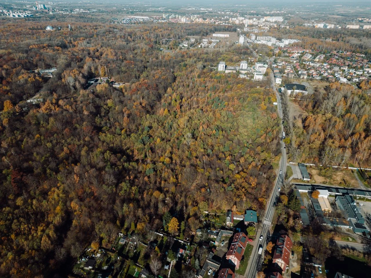 W Parku Śląskim powstanie Arboretum – nowa przestrzeń przyrodnicza już w 2027 roku