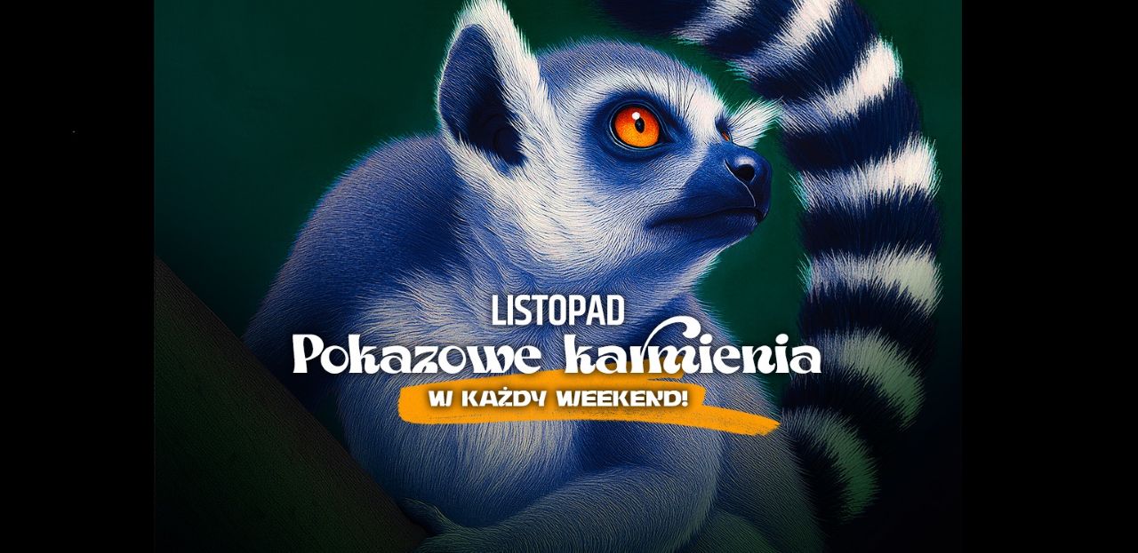 Pokazowe karmienia w Śląskim ZOO – zimowy harmonogram