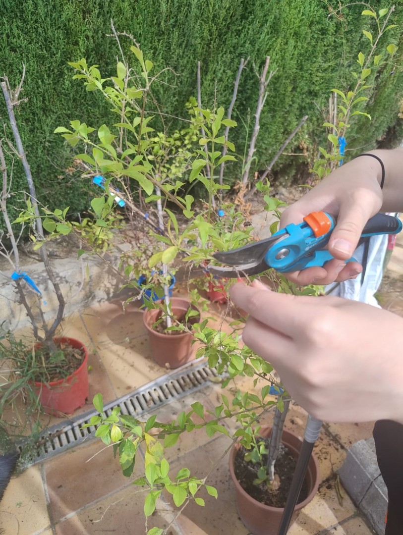 Od aktywności do zawodu: chorzowscy uczniowie zdobywali doświadczenie zawodowe w Hiszpanii