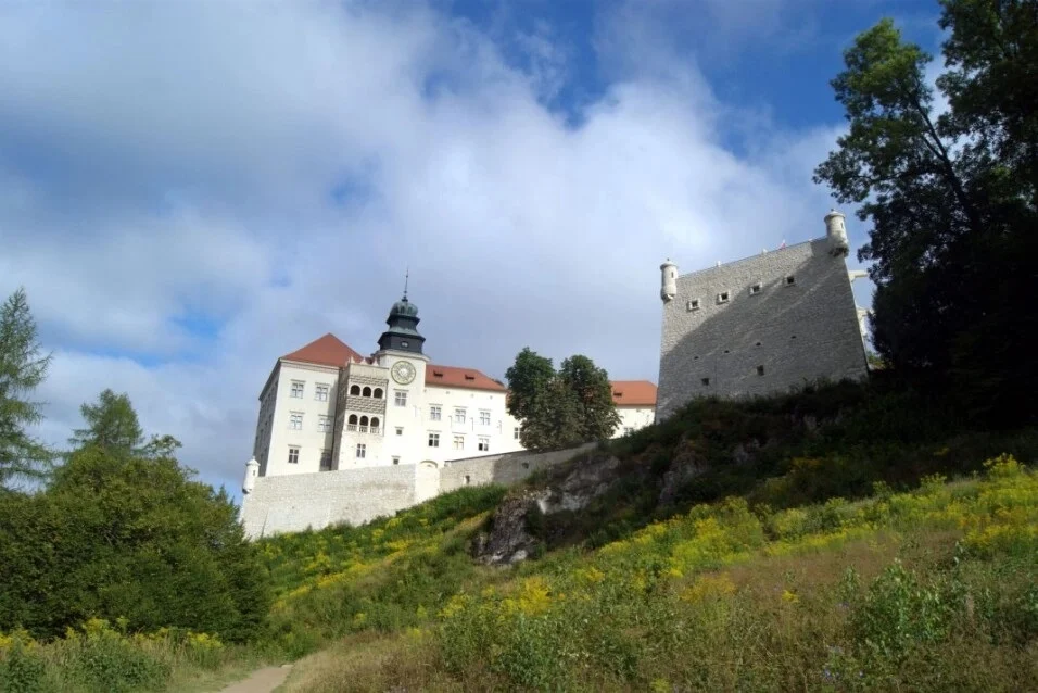 26 mysłowickich szkół w programie MEN. Wycieczki, warsztaty i edukacja poza salą