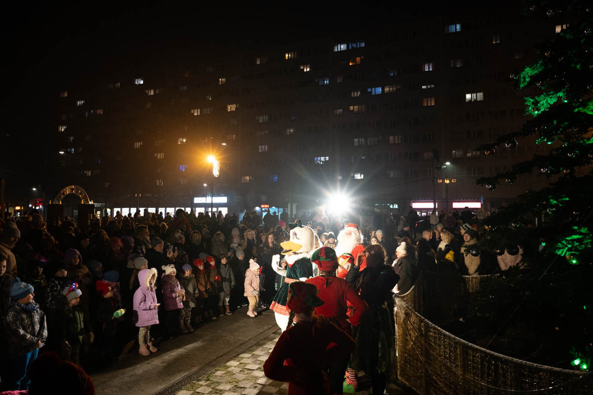 Rozświetlenie choinki 13