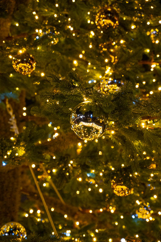 Rozświetlenie choinki 49