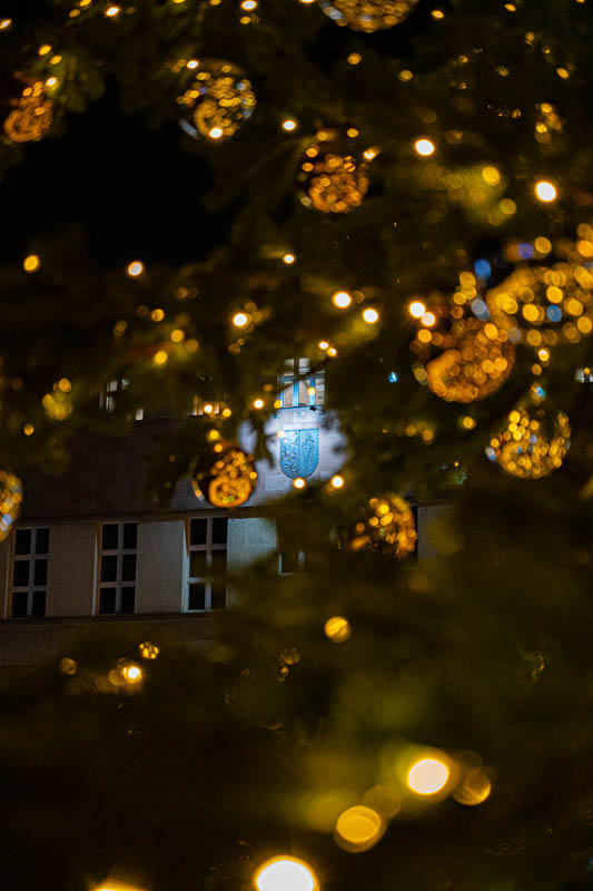 Rozświetlenie choinki 50