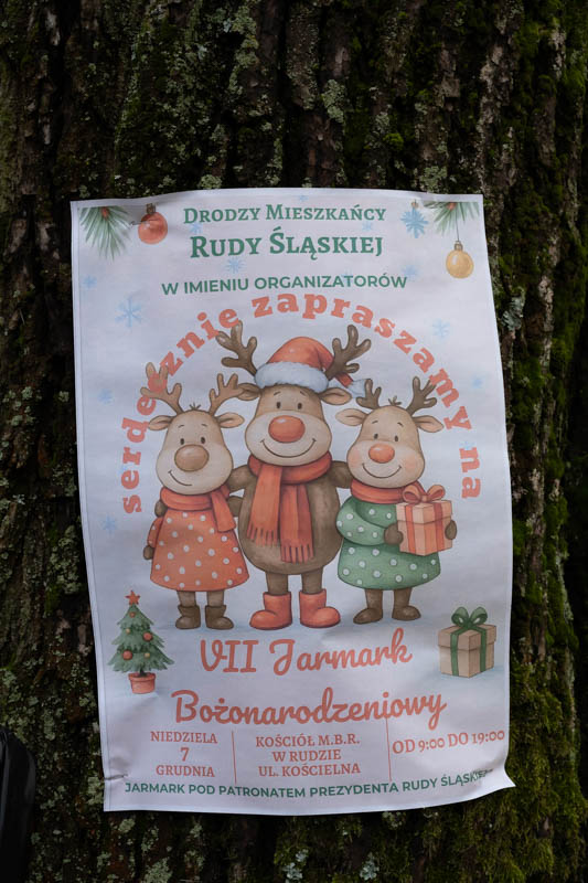 Jarmark Bożonarodzeniowy w Rudzie 15