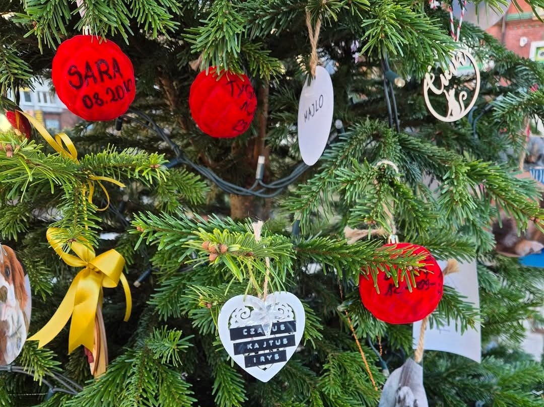 Świąteczne Drzewko Wspomnień o Naszych Pupilach w Rudzie Śląskiej
