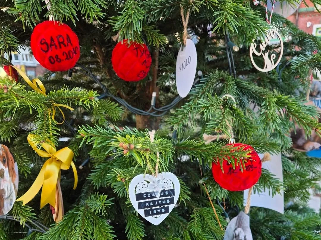 Świąteczne Drzewko Wspomnień o Naszych Pupilach w Rudzie Śląskiej