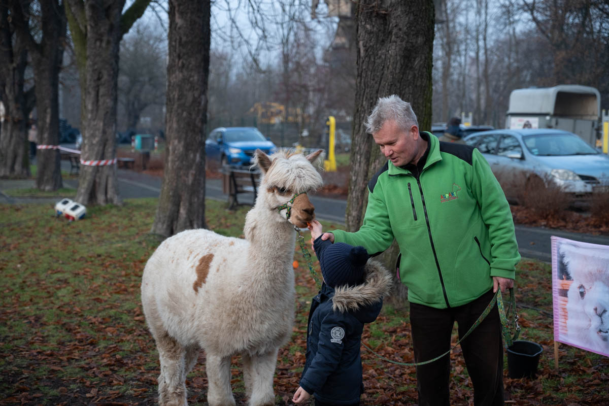 Świąteczne Kochłowice 63