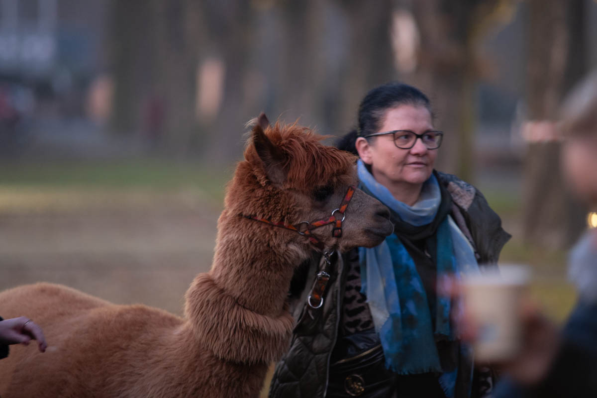Świąteczne Kochłowice 94