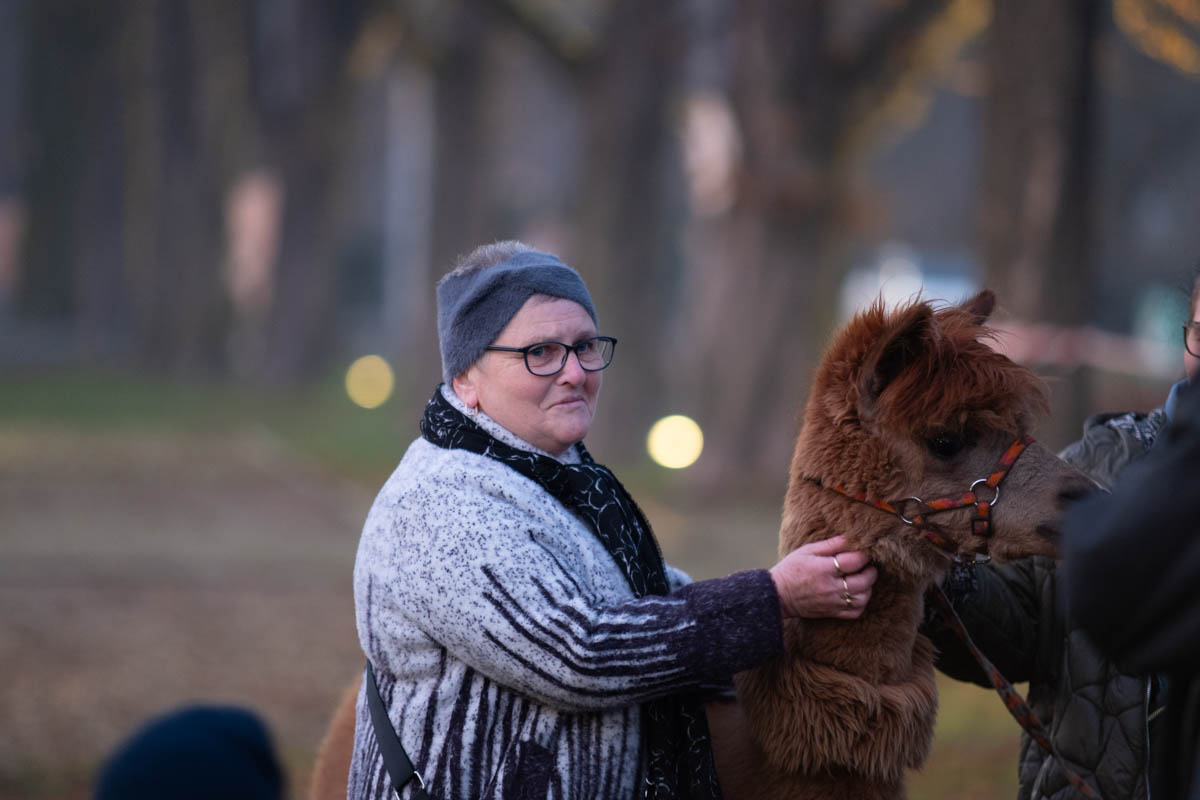 Świąteczne Kochłowice 95