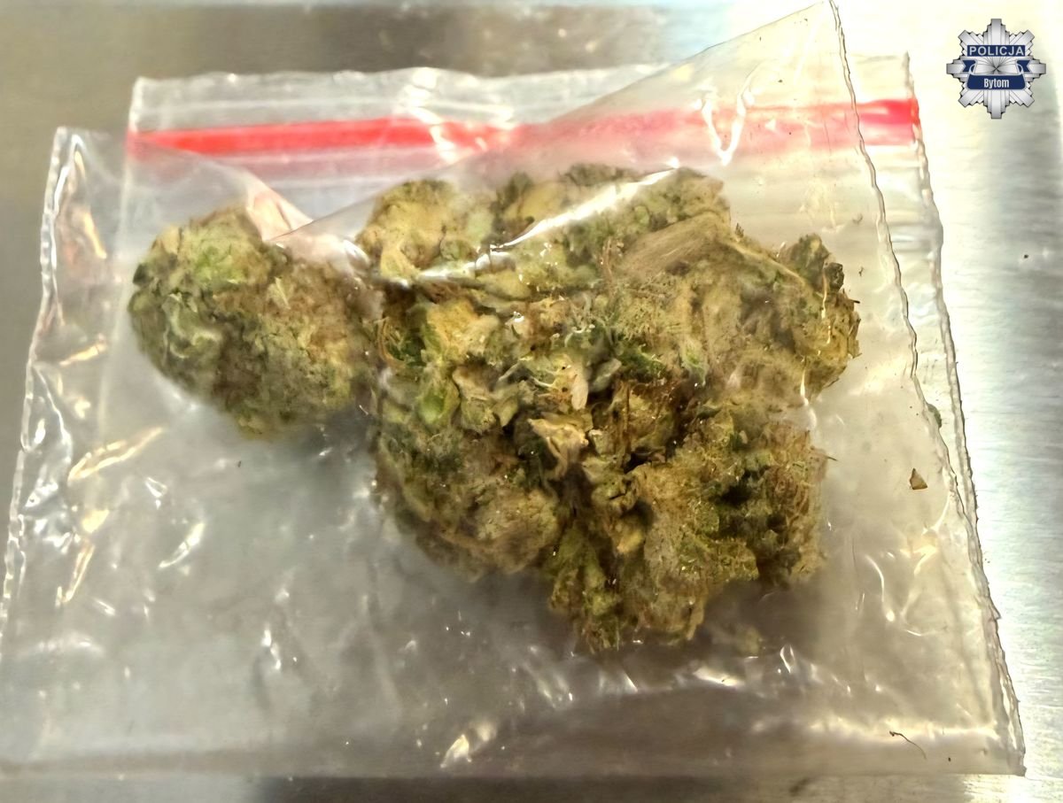 33-latek w rękach policji za narkotyki i jazdę pod ich wpływem