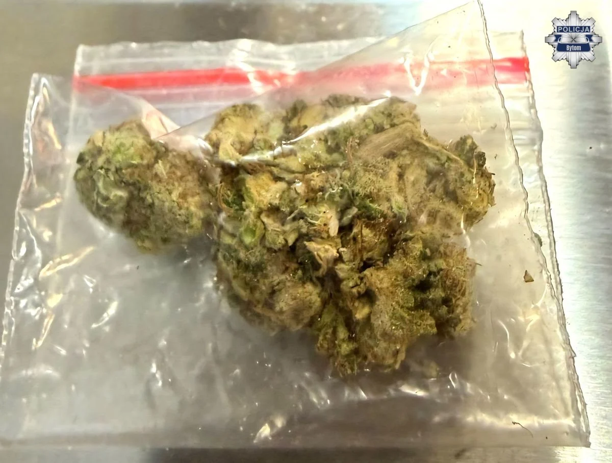 33-latek w rękach policji za narkotyki i jazdę pod ich wpływem