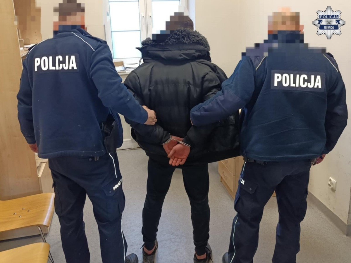 Ukradł odkurzacz i uciekł do parku. 19-latek zatrzymany po pościgu