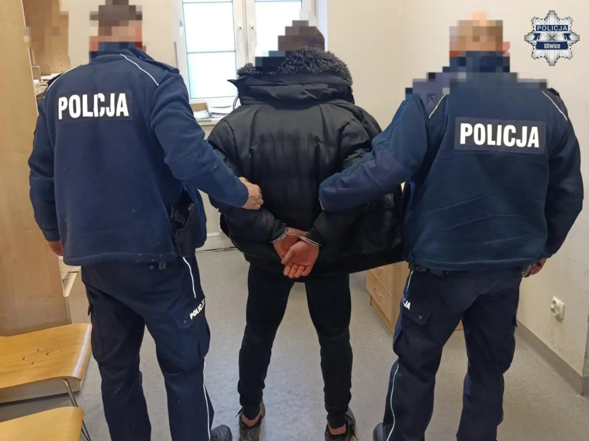 Ukradł odkurzacz i uciekł do parku. 19-latek zatrzymany po pościgu