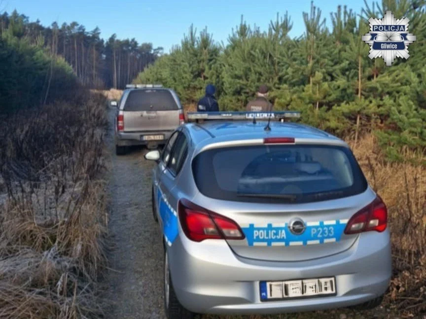 Akcja „CHOINKA” – pyskowiccy policjanci i straż leśna walczą z nielegalnym pozyskiwaniem drzewek