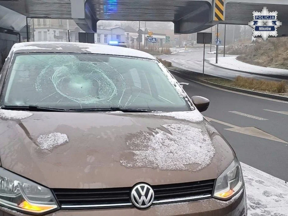 Orzesze: Zderzenie z sarną i kolizja na drodze – apel o ostrożność zimą!