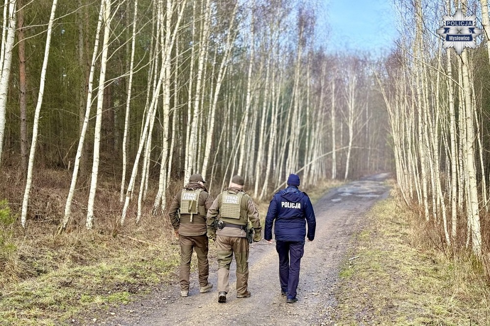 Choinka tylko z legalnego źródła. Przedświąteczne kontrole lasów w Mysłowicach