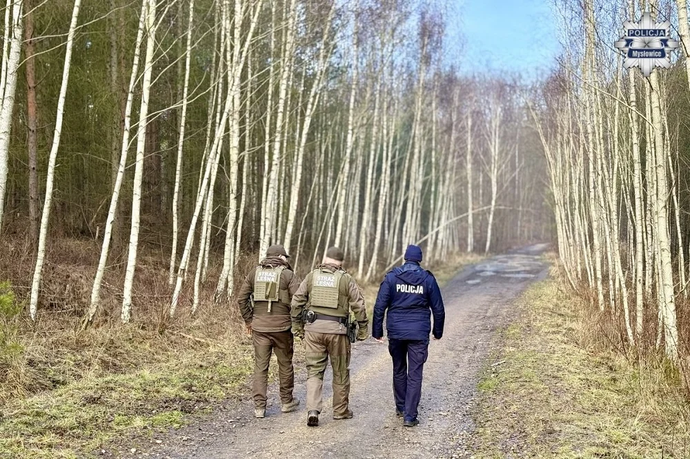 Choinka tylko z legalnego źródła. Przedświąteczne kontrole lasów w Mysłowicach