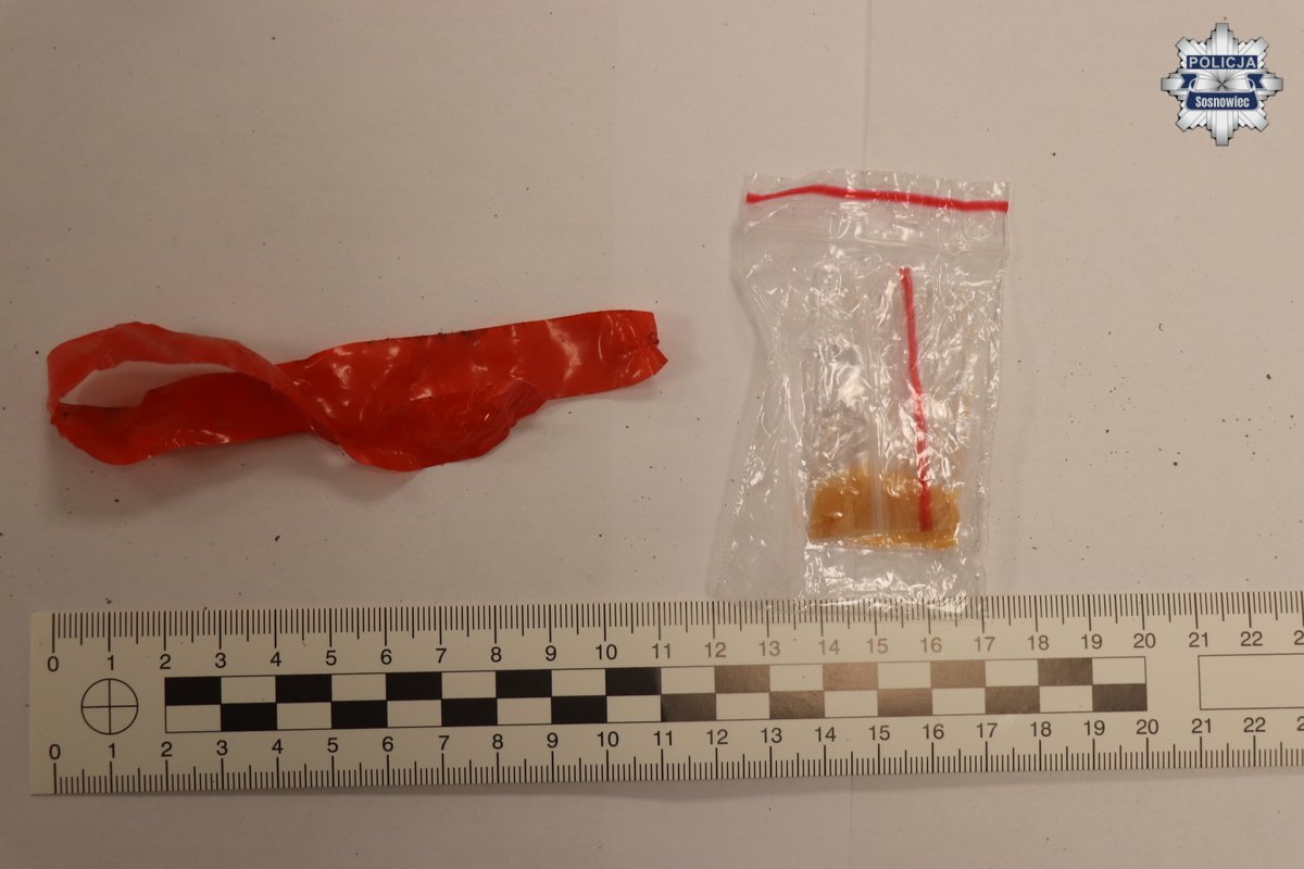 Dzięki czujnemu mieszkańcowi, policjanci z Sosnowca udaremnili narkotykowy proceder