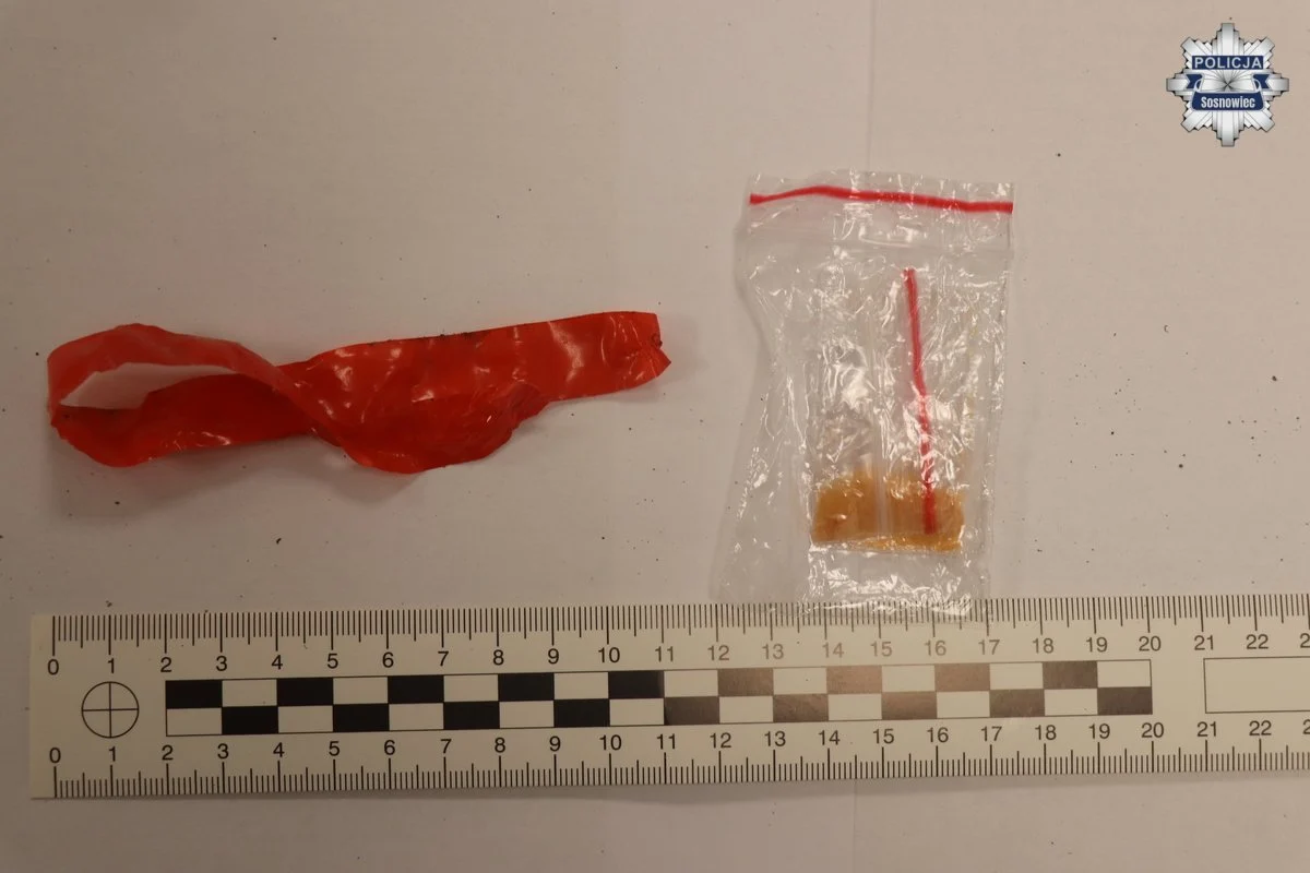 Dzięki czujnemu mieszkańcowi, policjanci z Sosnowca udaremnili narkotykowy proceder