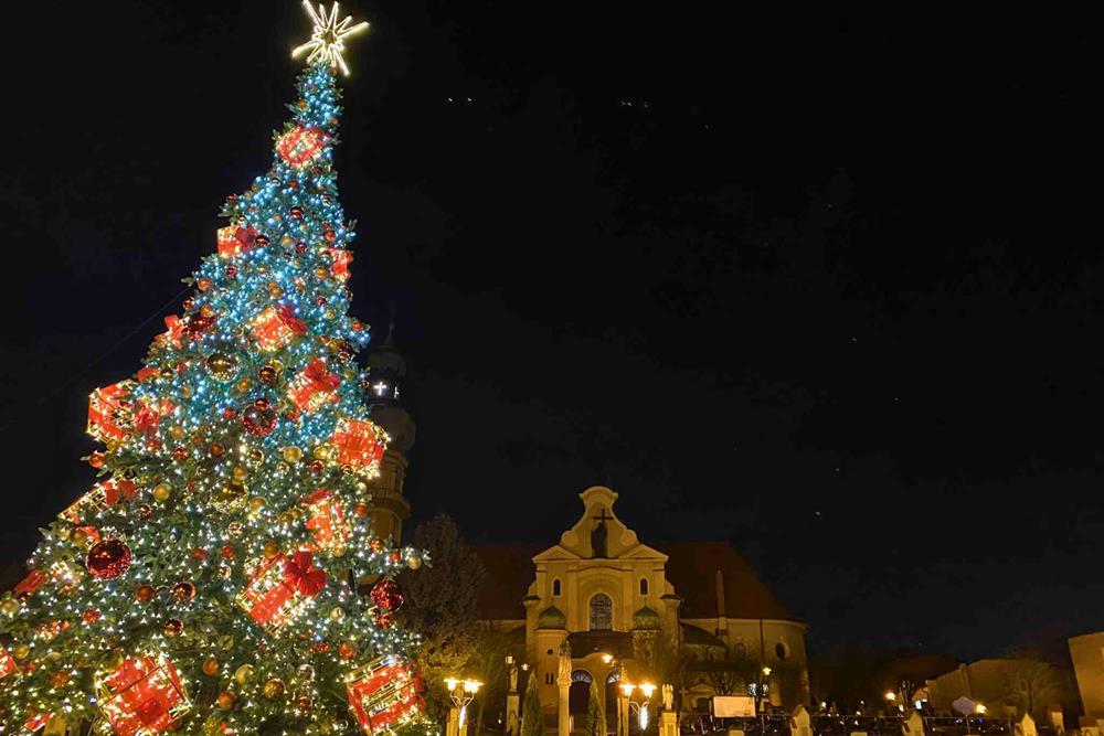 593611377_1299353505552036_1101498089074672341_n