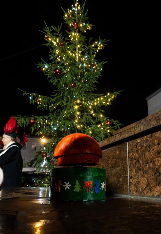 596493264_1299369335567015_3493216543881921464_n