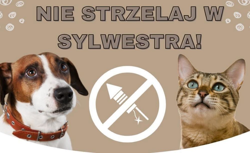 „Fauna” apeluje do mieszkańców o nieużywanie petard w sylwestrową noc