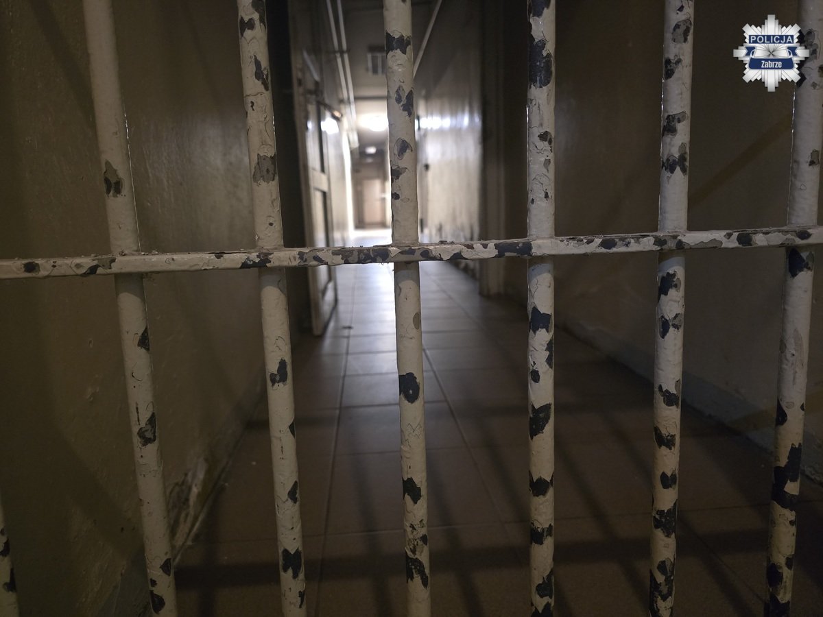 Domowy dramat w Zabrzu. 18-latek podejrzany o znęcanie się nad rodziną