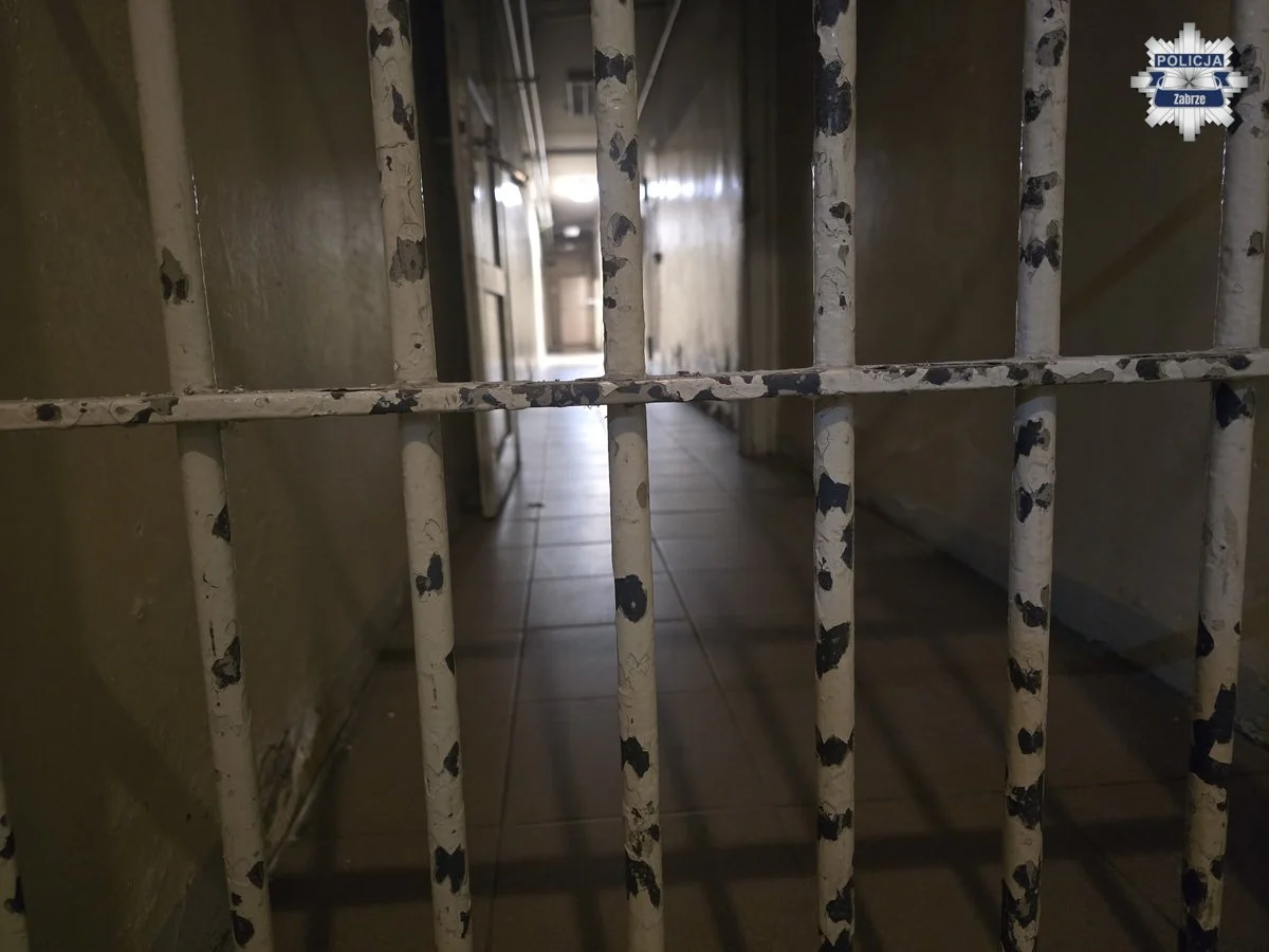 Domowy dramat w Zabrzu. 18-latek podejrzany o znęcanie się nad rodziną