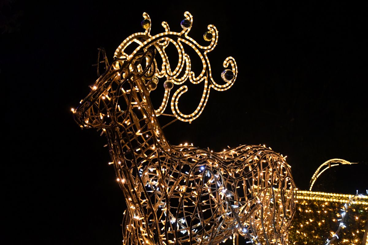 Mikołajki na Skałce 43