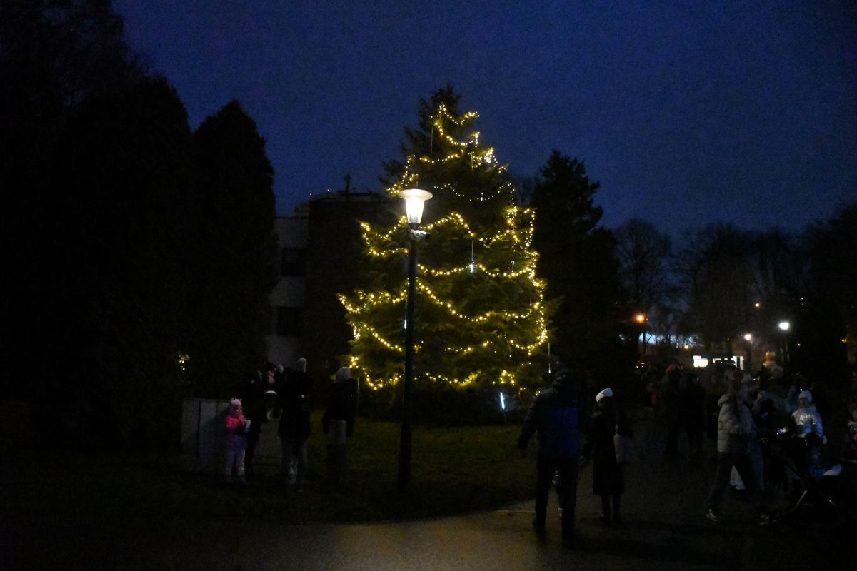 Charytatywność w świątecznym klimacie - za nami Kulinarny Ogień w Parku Śląskim!