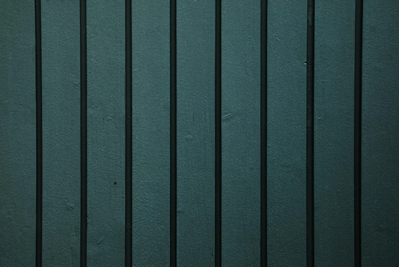 Przewodnik po wyborze i montażu ogrodzeń panelowych w Gliwicach