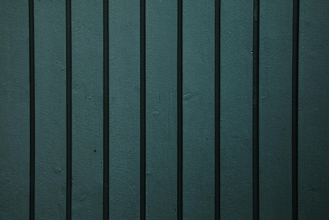 Przewodnik po wyborze i montażu ogrodzeń panelowych w Gliwicach