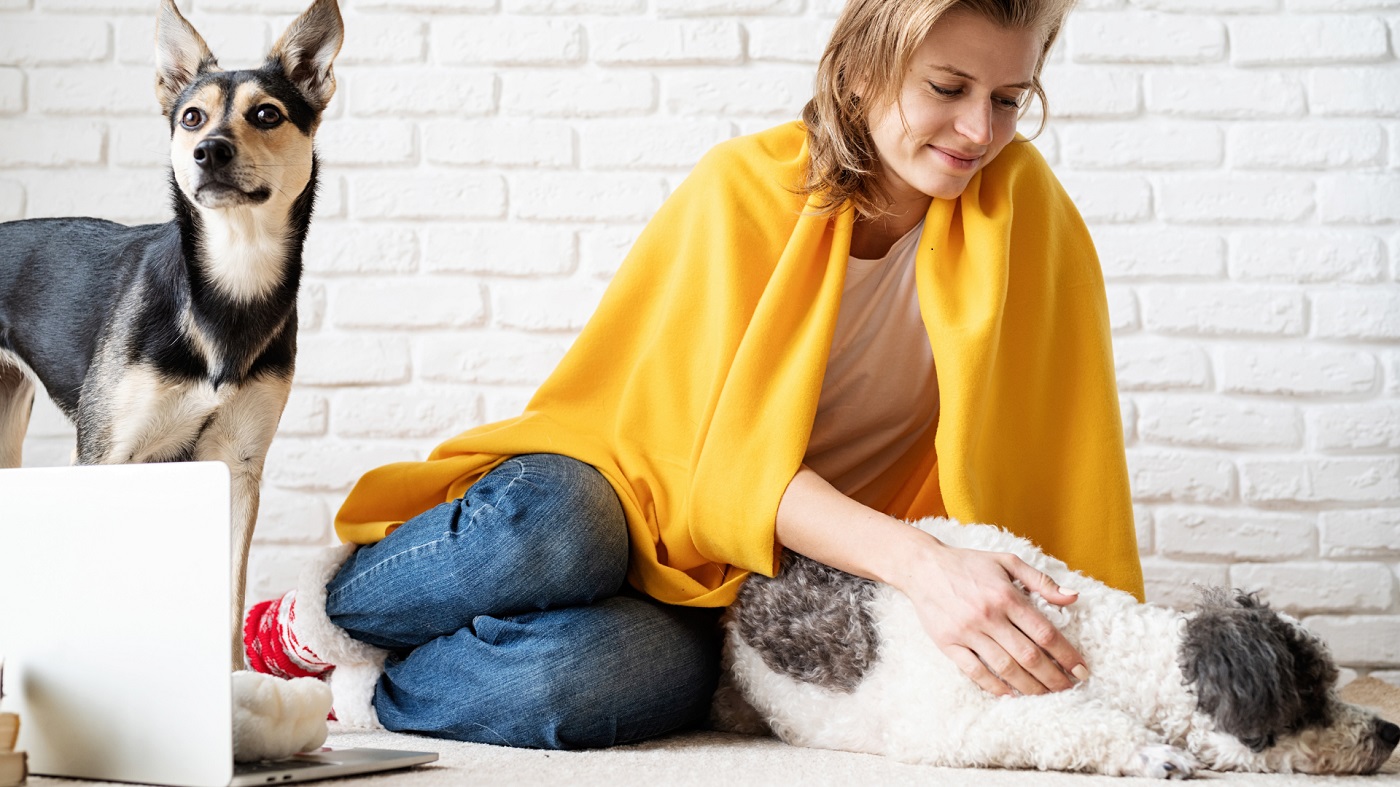 Jak radzić sobie z lękiem u psa i kota