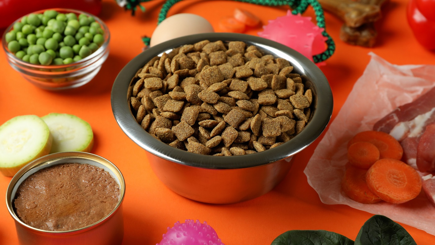 Karma weterynaryjna kontra dieta komercyjna - kiedy konieczna?