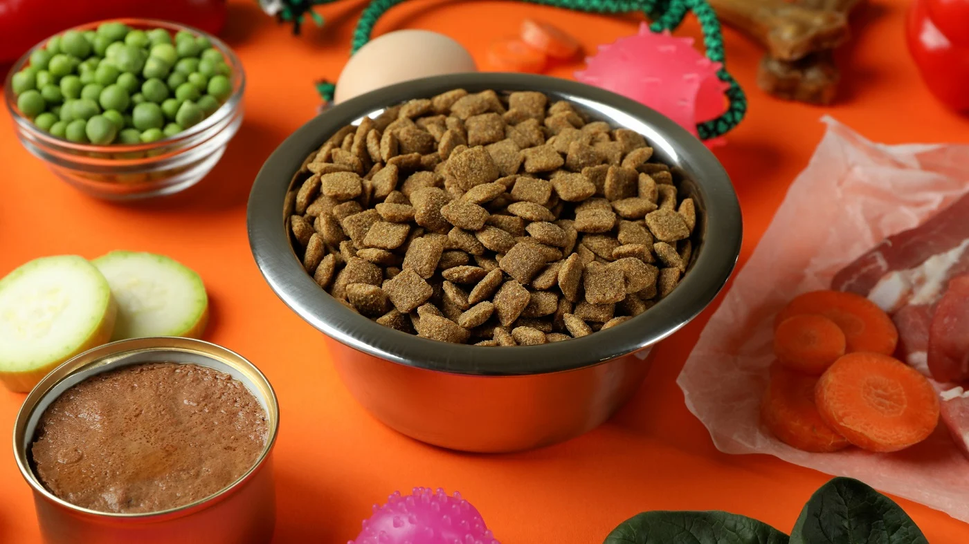 Karma weterynaryjna kontra dieta komercyjna - kiedy konieczna?